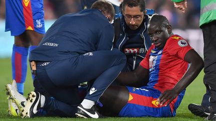 Mamadou Sakho (BEN STANSALL / AFP)