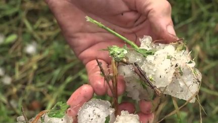 Orages : la grêle a frappé durement le Centre-Est du pays