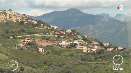 Un paysage de Corse. (France 2)