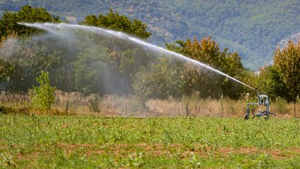 A water sprinkler in a field.  Illustrative photo.  (NICOLAS GUYONNET / HANS LUCAS)