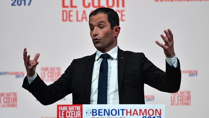 Benoît Hamon, en meeting à Montpellier (Hérault), le 10 janvier 2017. (PASCAL GUYOT / AFP)