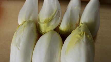 Alimentation : les bienfaits de l'endive