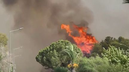 Méditerranée : de violents feux de forêt frappent la Turquie et la Grèce (France 2)