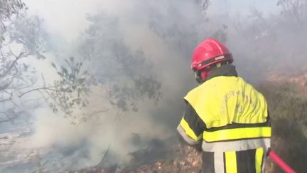 Un incendie a ravagé une centaine d'hectares de végétation à Mouriès, dans les Bouches-du-Rhône, samedi 4 février. (FRANCEINFO)