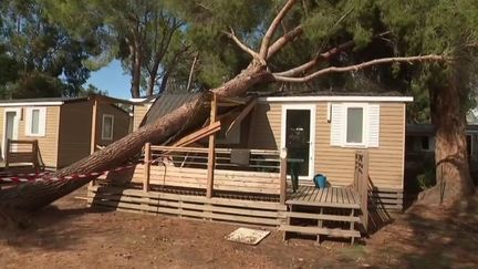 Orages en Corse : des nouvelles rassurantes concernant les blessés graves (FRANCE 2)