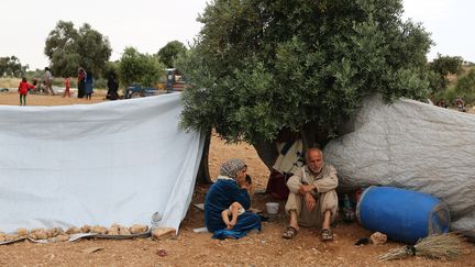 Des Syriens qui ont trouvé refuge dans un champ d'oliviers, près du village d'Aqrabat, dans la province d'Idlib. (NAZEER AL-KHATIB / AFP)