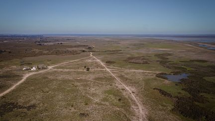 Les marais du parc naturel de Donana à Huelva, en Espagne, étaient asséchés le 25 janvier 2023. Le changement climatique et le prélèvement d'eau pour l'agriculture intensive dans la région, ainsi que pour alimenter les villes environnantes, figurent parmi les causes de la sécheresse dans la réserve naturelle. (ADRI SALIDO / ANADOLU AGENCY / AFP)