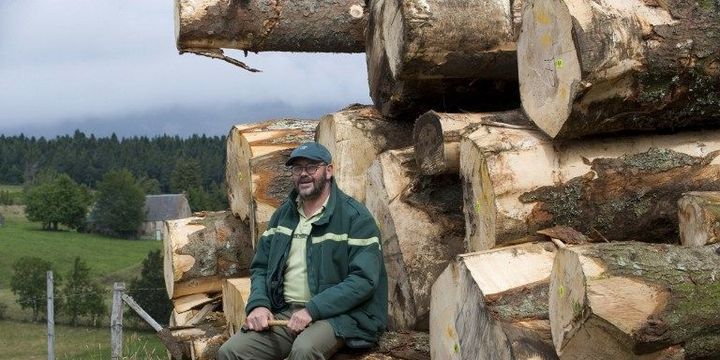 Agent de l'Office national des forêts devant des grumes. (THIERRY ZOCCOLAN / AFP)