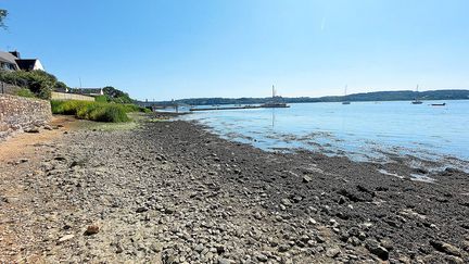 Le corps dénudé et sans vie d'Iris C. avait été découvert le 27 mai 2023 dans l’eau du Blavet, à Lanester (Morbihan). (HERVE CHAMBONNIERE / MAXPPP)