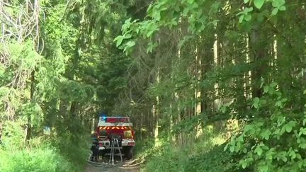 Avec des températures au-dessus des 28°C et des rafales de vent à plus de 50km/h, le risque d'incendie s'intensifie dans le nord-est de l'Hexagone. Les pompiers sont déjà sur le terrain. (FRANCEINFO)