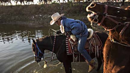 Une&nbsp;buckaroo en train de faire boire son cheval dans une rivière. (MAXPPP)