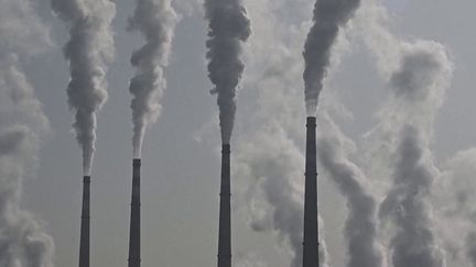 À l'occasion de l'ouverture de la COP28, jeudi 30 novembre, à Dubaï (Émirats arabes unis), les énergies fossiles sont au cœur des discussions. En 2022, le pétrole, le gaz naturel et le charbon ont représenté 82% de la consommation mondiale d'énergie. (FRANCEINFO)