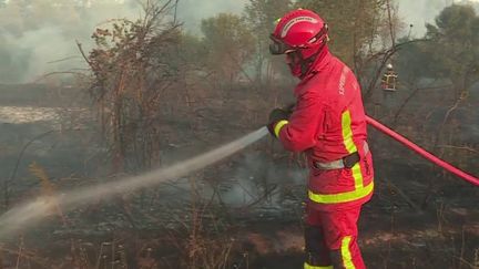 Un incendie à Aubais, dans le Gard, a mobilisé des centaines de pompiers, lundi 1er août. Onze d’entre eux ont été blessés, dont un grièvement. (Un incendie à Aubais, dans le Gard, a mobilisé des centaines de pompiers, lundi 1er août. Onze d’entre eux ont été blessés, dont un grièvement.)