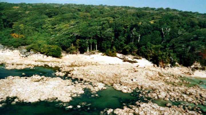 Photo de l'&icirc;le North Sentinel fournie par les garde-c&ocirc;tes indiens en 2004, apr&egrave;s le tsunami dans l'oc&eacute;an Indien. (INDIAN COAST GUARD / AP / SIPA)