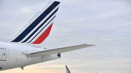 Des avions de la compagnie Air France sur le tarmac de l'aéroport Roissy-Charles-de-Gaulle, près de Paris, le 26 avril 2023. (JULIEN DE ROSA / AFP)