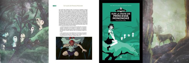 Sur la piste de Princesse Mononoke (© Ynnis)