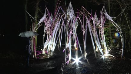 "L'hiver enchanté", une mise en scène esthétique et lumineuse au bois du Bouscat (Gironde) jusqu'au 3 mars 2024. (FRANCE 3 NOUVELLE AQUITAINE)