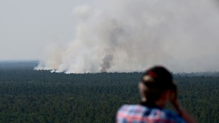 De la fumée s'élève de la forêt de Grunewald (Allemagne) à Berlin le 4 août 2022. (INA FASSBENDER / AFP)