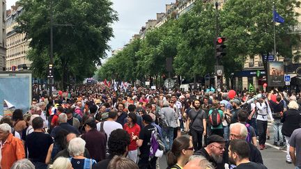 Le cortège de la "Marée populaire", le 26 mai 2018 à Paris. (NATHANEL CHARBONNIER / RADIO FRANCE)