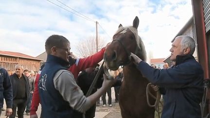 Le départ vers le Salon de l’agriculture (Paris) n’est pas de tout repos, comme peuvent en témoigner des éleveurs de chevaux comtois de Vercel (Doubs). (CAPTURE D'ÉCRAN FRANCE 3)