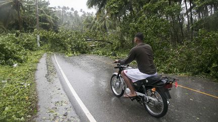 Certaines routes sont bloquées par&nbsp;les arbres tombés après le passage d'Irma, jeudi 7 septembre, à&nbsp;Samana en République dominicaine. (TATIANA FERNANDEZ / AP /SIPA)