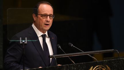 Fran&ccedil;ois Hollande, le 23 septembre 2014 &agrave; New York. (DON EMMERT / AFP)