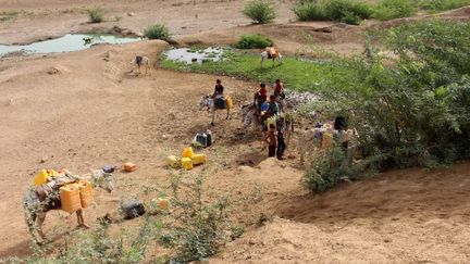 Des Yéménites&nbsp;qui ont fui les combats à Hodeida, à la recherche d'eau dans le district d'Abs, le 18 juin 2018. (ESSA AHMED / AFP)