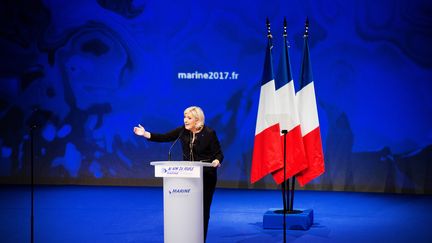 Marine Le Pen en meeting à Lyon, le 5 février 2017. (CHAMUSSY/SIPA)