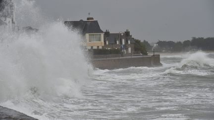 Bretagne : les sentinelles du littoral