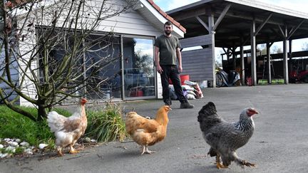 Des poulets dans une exploitation située dans le Nord, le 9&nbsp;novembre 2020. (MAXPPP)