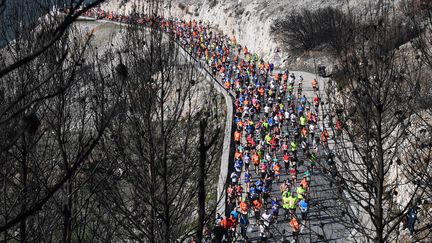 La course de 20 kilomètres entre Marseille et Cassis, le 5 août 2016. (BORIS HORVAT / AFP)