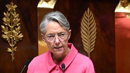 La Première ministre, Elisabeth Borne, à l'Assemblée nationale, le 23 octobre 2023. (BERTRAND GUAY / AFP)