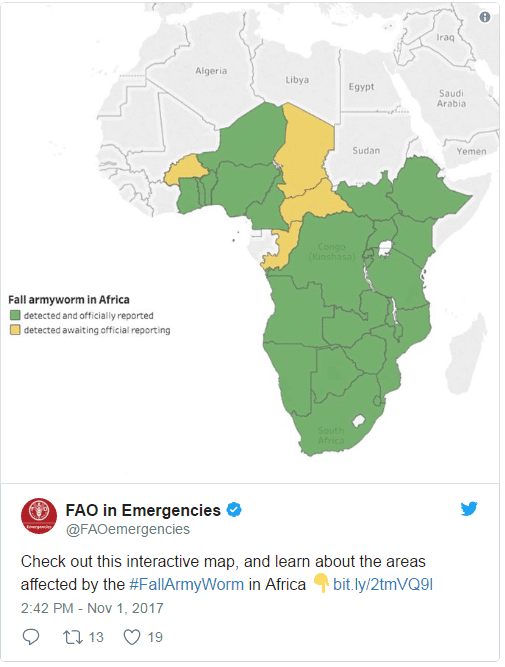 Carte de la FAO répertoriant les zones touchées par la chenille légionnaire d'automne. (FAO)