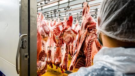 De la viande est entreposée dans une chambre froide dans une entreprise d'abattage, de découpe et de transformation, le 4 mai 2021, à Perpignan (Pyrénées-Orientales). (JC MILHET / HANS LUCAS / AFP)