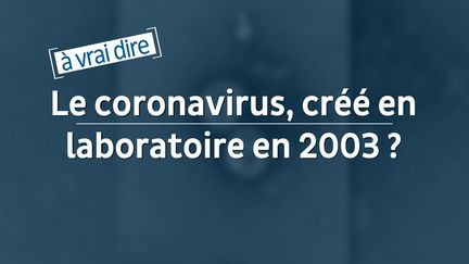 capture d'écran (TV5MONDE)