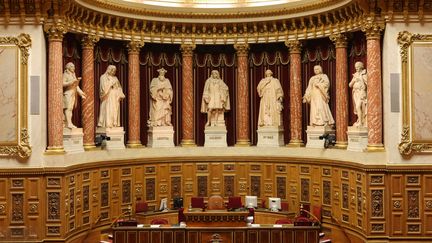 Hemicycle au Sénat, palais du Luxembourg à Paris. (PHOTO12 / GILLES TARGAT)