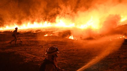 Des pompiers luttent contre le feu en Californie, le 2 août 2018.&nbsp; (MARK RALSTON / AFP)