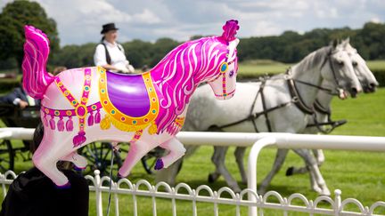 Une course &agrave; l'hippodrome de Hoppegarten &agrave; Berlin (Allemagne), dimanche 22 juillet 2012. (JORG CARSTENSEN / DPA / AFP)