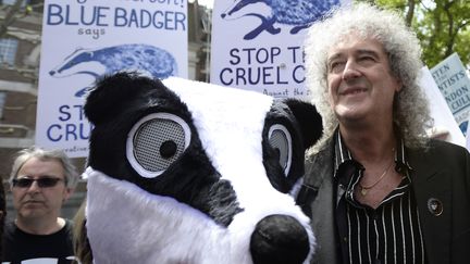 L'ancien guitariste de Queen, Brian May, lors d'une manifestation contre l'abattage de blaireaux, &agrave; Londres (Royaume-Uni), le 1er juin 2013. (DYLAN MARTINEZ / REUTERS)