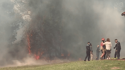 Le nord de l’Espagne est en proie à des incendies d’origine criminelle. Plus d’une centaine de feux ont été déclenchés ces dernières heures. Les autorités dénoncent des terroristes, d’autant que ces feux sont attisés par des vents violents, qui ont conduit à l’évacuation de plusieurs centaines de personnes. (FRANCE 2)