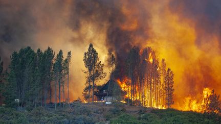 Les flammes engloutissent une maison près de Lakeport en Californie, le 2 août 2018.&nbsp; (MARK MCKENNA / ZUMA / REA)