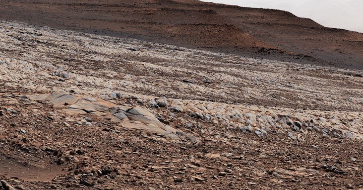 Des rochers "alligator" sur Mars, le 15 mars 2022. (NASA / JPL-CALTECH / MSSS)