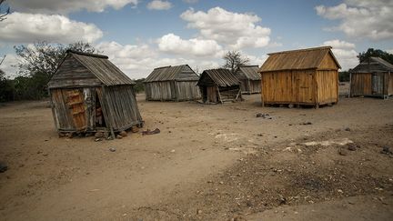 Dans la région des provinces du sud, la plus impactée par la sécheresse, la verdure s’est raréfiée et l'agriculture est devenue pratiquement impossible. Les habitants de nombreux villages en situation de "malnutrition sévère", voire de famine, sont obligés alors d’abandonner leurs maisons. Et l'isolement de nombreux villages du sud aggrave cette situation, explique l’AFP.&nbsp; &nbsp; &nbsp; (RIJASOLO/AFP)