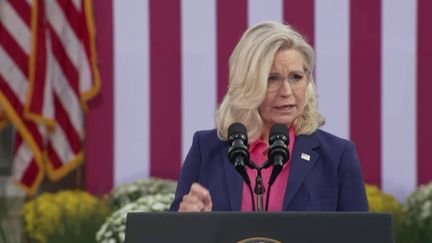 Présidentielle américaine 2024 : Arnold Schwarzenegger, Liz Cheney... Ces républicains qui voteront Kamala Harris (France 2)