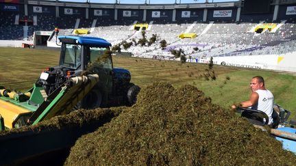 Nouveau changement, début septembre 2016, de la&nbsp;pelouse au stade de Toulouse en raison d'un champignon (THIERRY BORDAS  / MAXPPP)