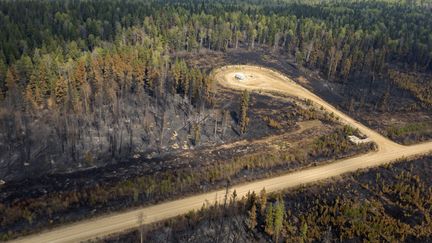 Au 11 mai 2023, date à laquelle a été prise cette photo, près de 400 000 hectares avaient déjà brûlé dans la province de l'Alberta depuis le début de l'année. (MEGAN ALBU / AFP)