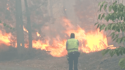 Déforestation : Retour sur les incendies de 2016