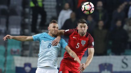 Le match entre la Slovénie et l'Angleterre fut très accroché, à l'image de ce duel entre Cahill et Kurtic (ANTONIO BAT / EPA)