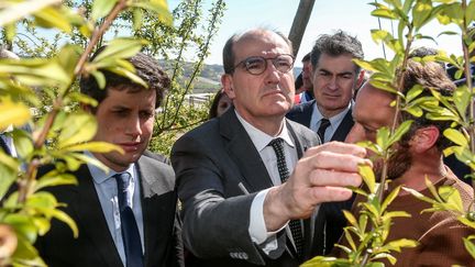 Le ministre de l'Agriculture, Julien Denormandie (G), et le Premier ministre, Jean Castex (D), constatent les dégâts causés par le gel chez un agriculteur de Cazes-Mondenard (Tarn-et-Garonne), le 5 avril 2022. (FRED SCHEIBER / AFP)