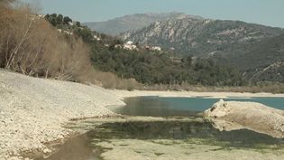 Sécheresse : des restrictions d'eau dans huit communes des Alpes-Maritimes (FRANCE 2)